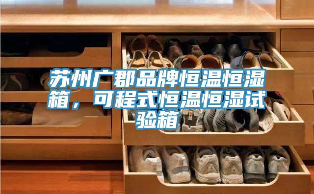 蘇州廣郡品牌恒溫恒濕箱，可程式恒溫恒濕試驗箱