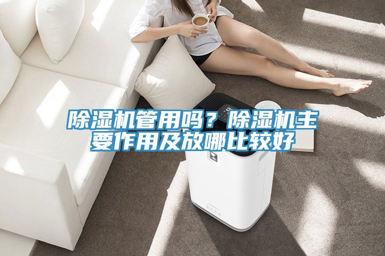 除濕機(jī)管用嗎?除濕機(jī)主要作用及放哪比較好