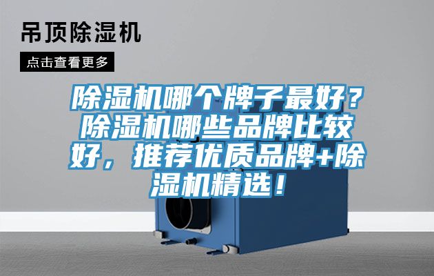 除濕機哪個牌子最好？除濕機哪些品牌比較好，推薦優質品牌+除濕機精選！