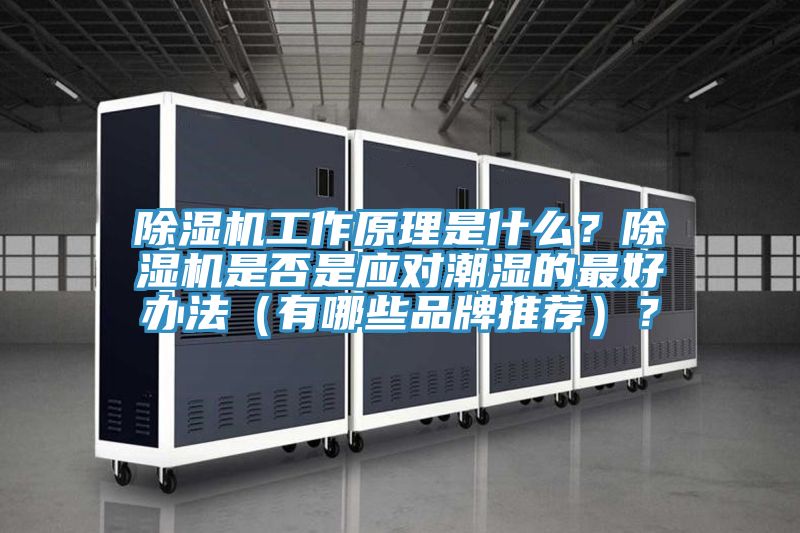 除濕機工作原理是什么？除濕機是否是應(yīng)對潮濕的最好辦法（有哪些品牌推薦）？