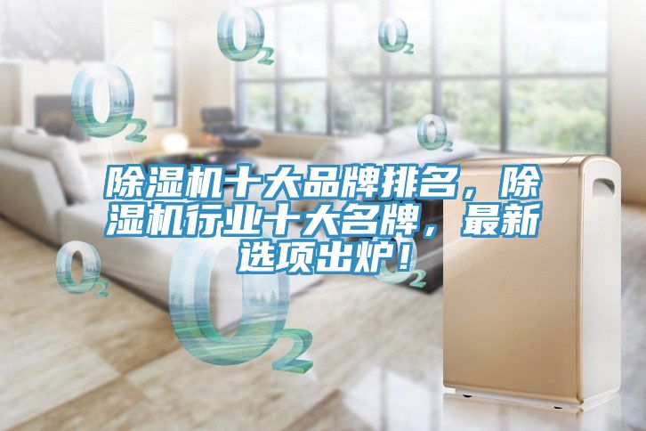 除濕機十大品牌排名，除濕機行業十大名牌，最新選項出爐！