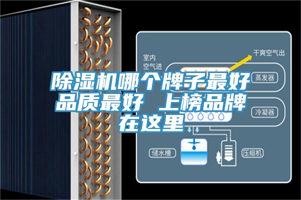 除濕機哪個牌子最好品質最好 上榜品牌在這里