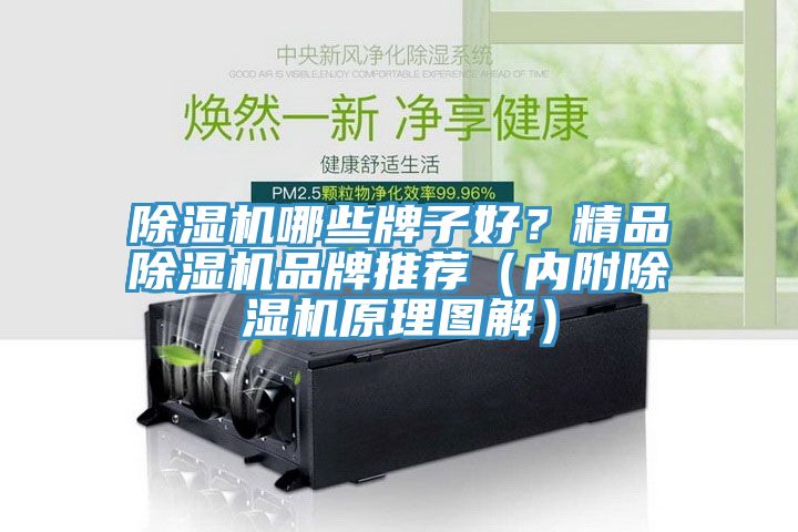 除濕機哪些牌子好？精品除濕機品牌推薦（內附除濕機原理圖解）