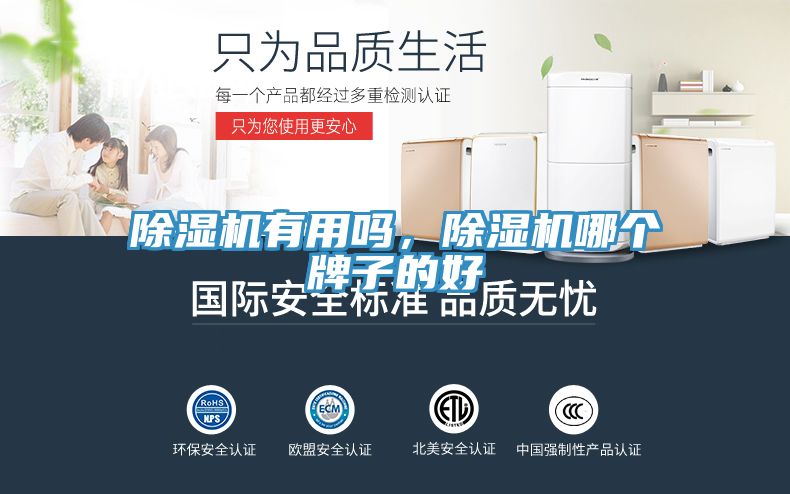 除濕機(jī)有用嗎，除濕機(jī)哪個(gè)牌子的好