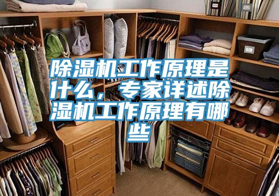 除濕機(jī)工作原理是什么，專家詳述除濕機(jī)工作原理有哪些