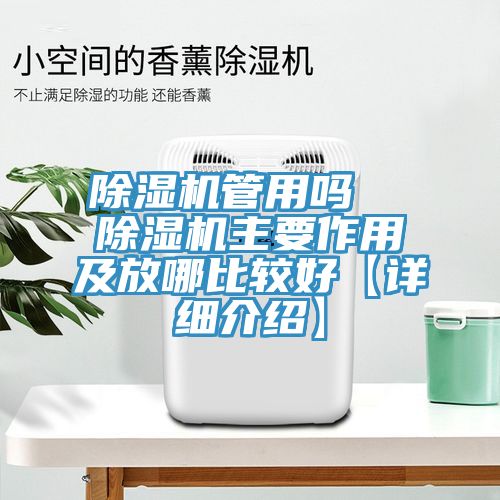除濕機(jī)管用嗎 除濕機(jī)主要作用及放哪比較好【詳細(xì)介紹】