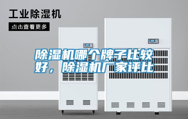除濕機哪個牌子比較好，除濕機廠家評比
