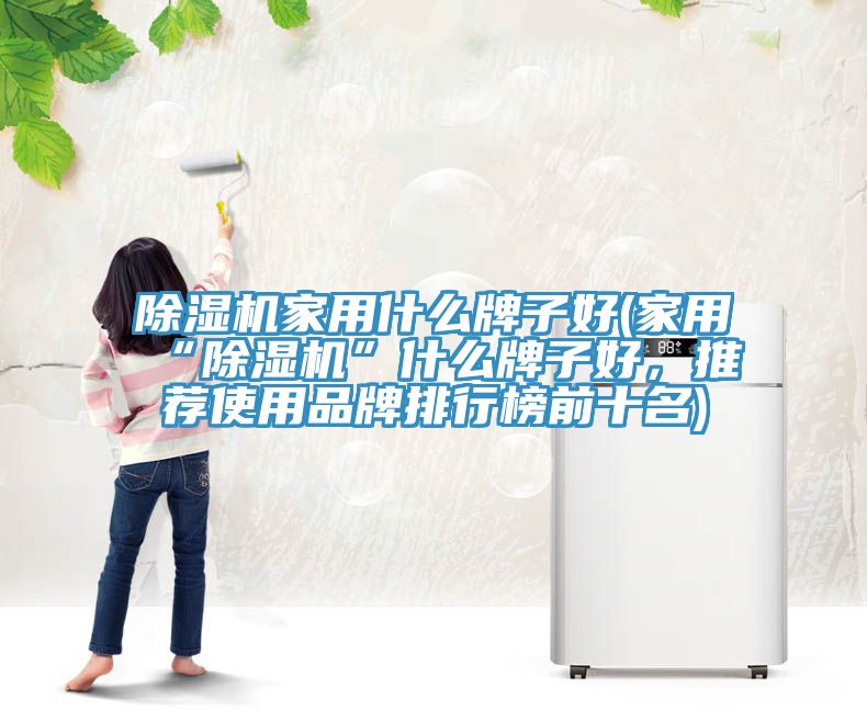 除濕機家用什么牌子好(家用“除濕機”什么牌子好，推薦使用品牌排行榜前十名)