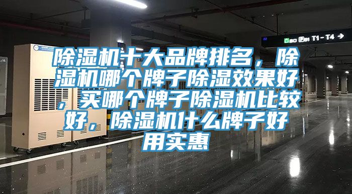 除濕機十大品牌排名，除濕機哪個牌子除濕效果好，買哪個牌子除濕機比較好，除濕機什么牌子好用實惠