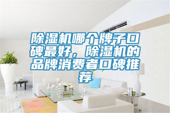 除濕機(jī)哪個(gè)牌子口碑最好，除濕機(jī)的品牌消費(fèi)者口碑推薦