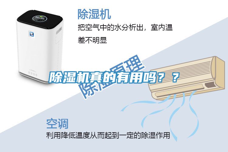 除濕機真的有用嗎??