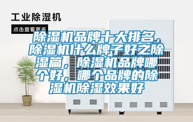 除濕機(jī)品牌十大排名，除濕機(jī)什么牌子好之除濕篇，除濕機(jī)品牌哪個(gè)好，哪個(gè)品牌的除濕機(jī)除濕效果好