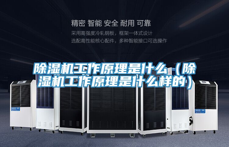 除濕機(jī)工作原理是什么（除濕機(jī)工作原理是什么樣的）