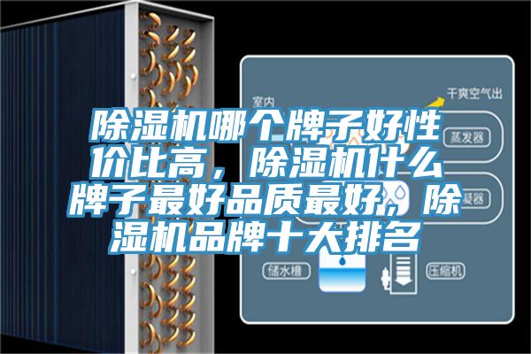 除濕機哪個牌子好性價比高，除濕機什么牌子最好品質(zhì)最好，除濕機品牌十大排名