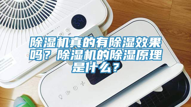 除濕機真的有除濕效果嗎?除濕機的除濕原理是什么?