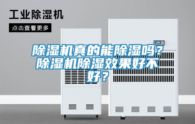 除濕機真的能除濕嗎？除濕機除濕效果好不好？