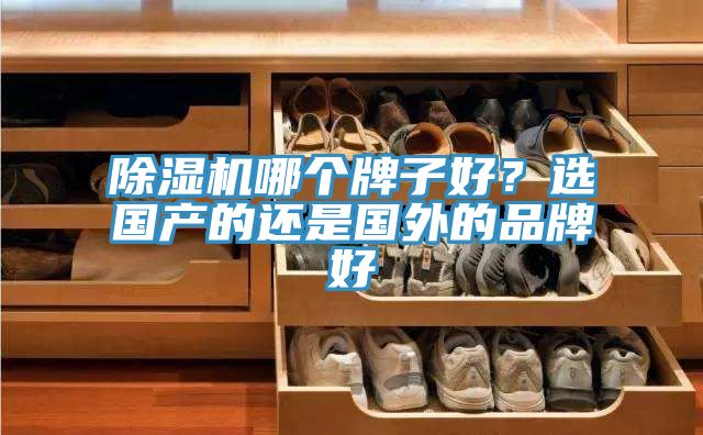除濕機哪個牌子好？選國產的還是國外的品牌好