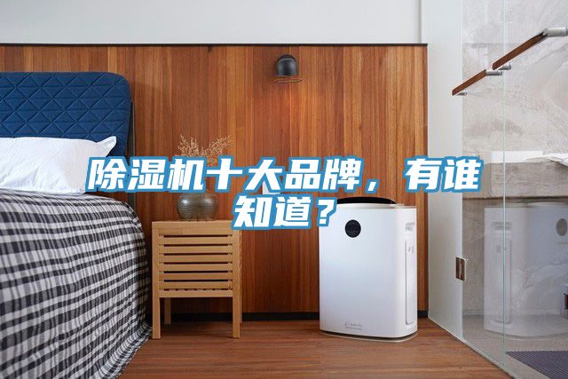 除濕機(jī)十大品牌，有誰知道？