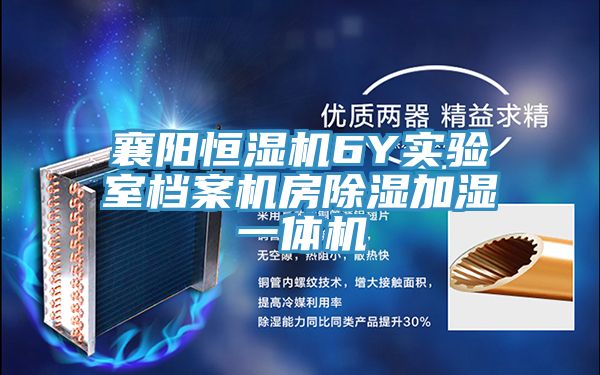 襄陽恒濕機(jī)6Y實(shí)驗(yàn)室檔案機(jī)房除濕加濕一體機(jī)