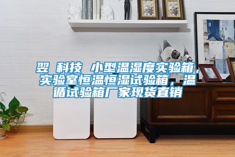 翌昇科技 小型溫濕度實驗箱,實驗室恒溫恒濕試驗箱,溫循試驗箱廠家現貨直銷