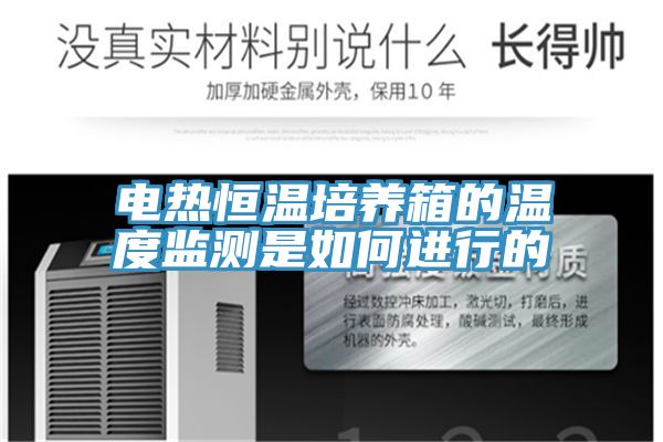 電熱恒溫培養(yǎng)箱的溫度監(jiān)測是如何進行的