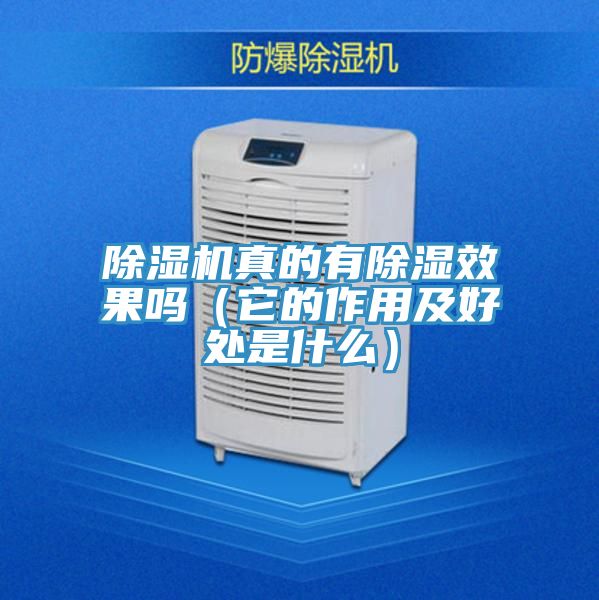 除濕機真的有除濕效果嗎(它的作用及好處是什么)