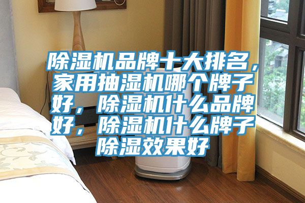 除濕機(jī)品牌十大排名，家用抽濕機(jī)哪個(gè)牌子好，除濕機(jī)什么品牌好，除濕機(jī)什么牌子除濕效果好