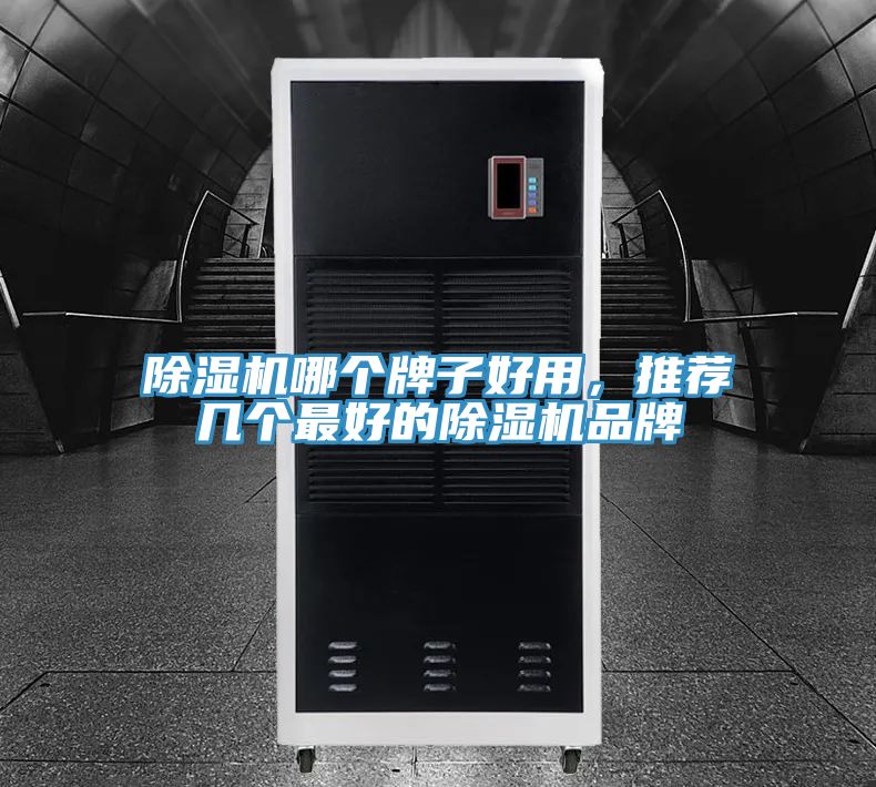 除濕機(jī)哪個牌子好用，推薦幾個最好的除濕機(jī)品牌