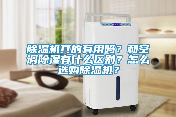 除濕機真的有用嗎?和空調除濕有什么區別?怎么選購除濕機?