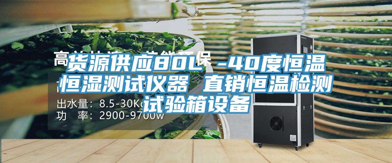 貨源供應(yīng)80L -40度恒溫恒濕測(cè)試儀器 直銷(xiāo)恒溫檢測(cè)試驗(yàn)箱設(shè)備