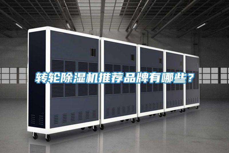 轉輪除濕機推薦品牌有哪些？