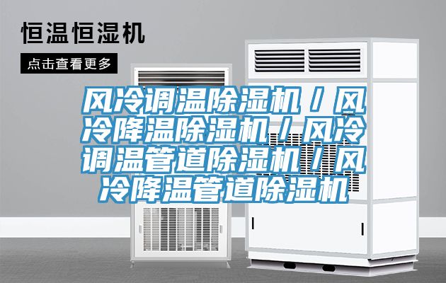 風冷調溫除濕機/風冷降溫除濕機/風冷調溫管道除濕機/風冷降溫管道除濕機