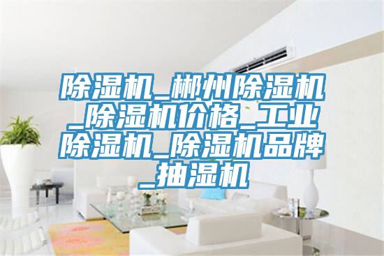 除濕機(jī)_郴州除濕機(jī)_除濕機(jī)價格_工業(yè)除濕機(jī)_除濕機(jī)品牌_抽濕機(jī)