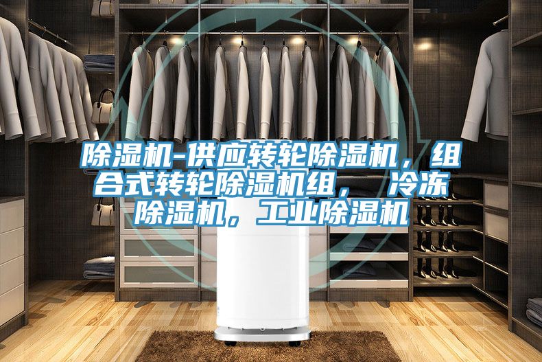 除濕機-供應轉輪除濕機，組合式轉輪除濕機組， 冷凍除濕機，工業(yè)除濕機