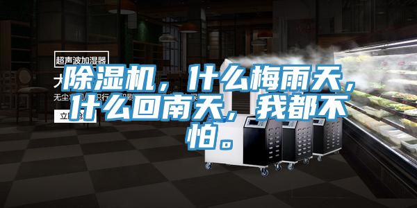 除濕機(jī)，什么梅雨天，什么回南天，我都不怕。