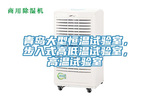 青島大型恒溫試驗室,步入式高低溫試驗室,高溫試驗室