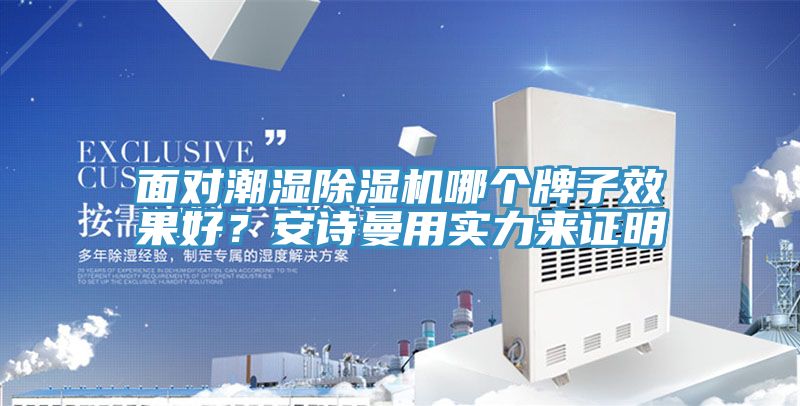 面對潮濕除濕機哪個牌子效果好？安詩曼用實力來證明