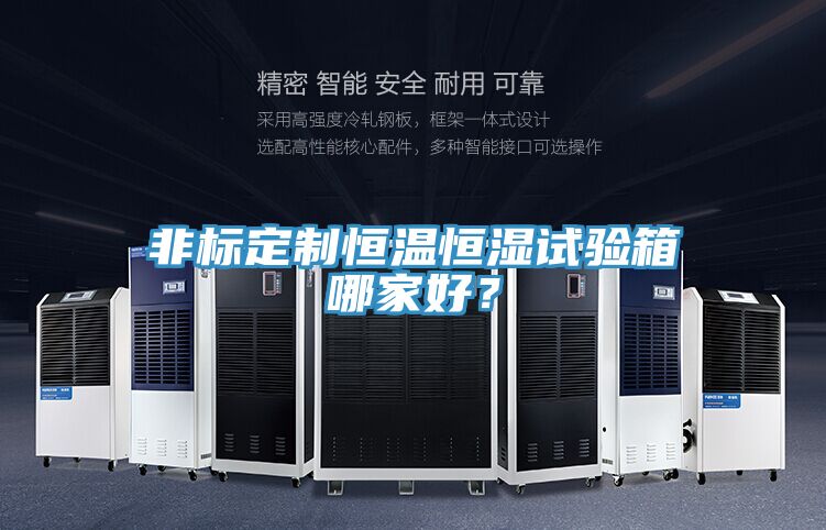 非標定制恒溫恒濕試驗箱哪家好？