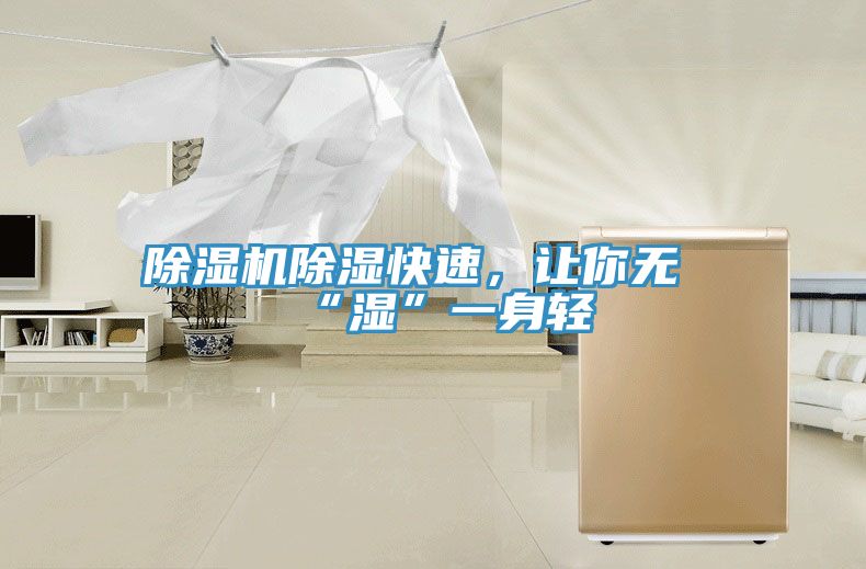 除濕機(jī)除濕快速，讓你無“濕”一身輕