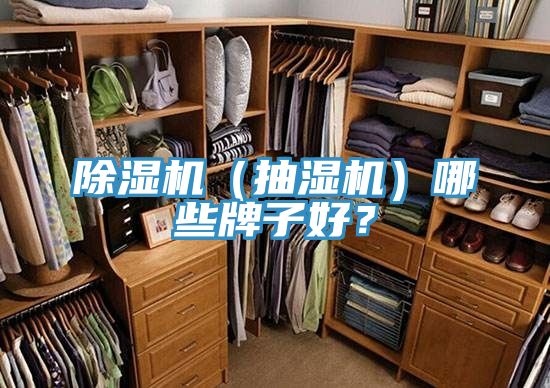 除濕機(jī)（抽濕機(jī)）哪些牌子好？