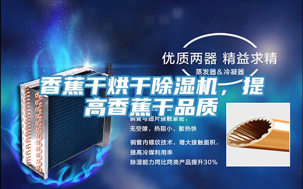 香蕉干烘干除濕機,提高香蕉干品質