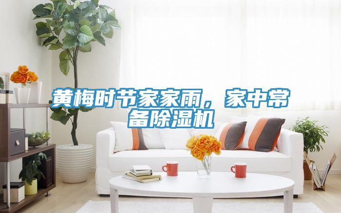黃梅時(shí)節(jié)家家雨，家中常備除濕機(jī)