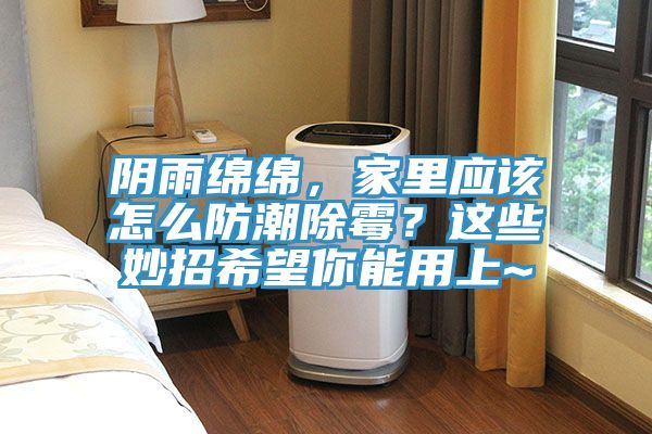 陰雨綿綿，家里應該怎么防潮除霉？這些妙招希望你能用上~