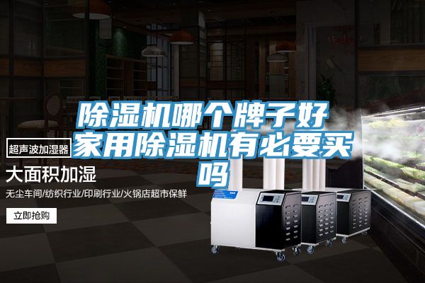 除濕機(jī)哪個(gè)牌子好 家用除濕機(jī)有必要買嗎