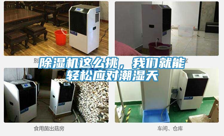 除濕機這么挑,我們就能輕松應對潮濕天