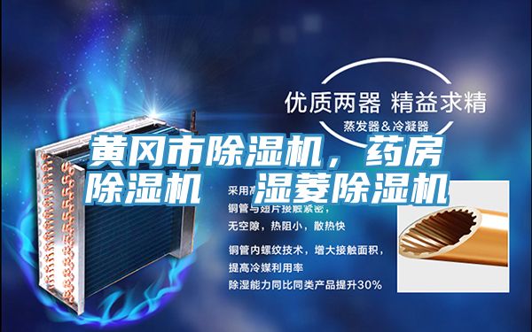 黃岡市除濕機(jī)，藥房除濕機(jī)  濕菱除濕機(jī)