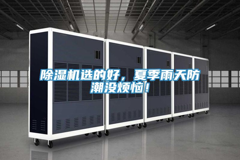 除濕機選的好，夏季雨天防潮沒煩惱！
