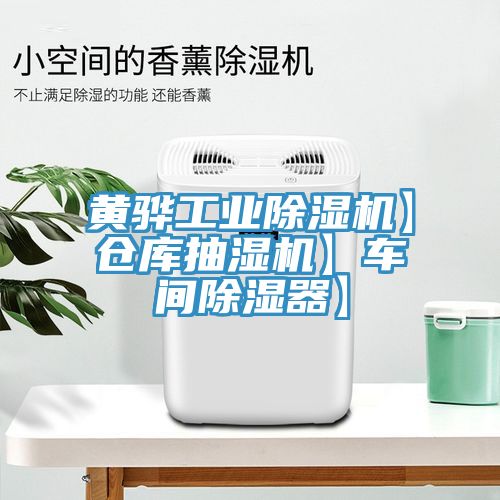 黃驊工業(yè)除濕機(jī)】倉(cāng)庫抽濕機(jī)】車間除濕器】
