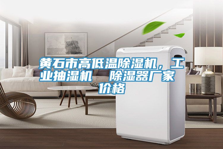 黃石市高低溫除濕機，工業抽濕機  除濕器廠家 價格