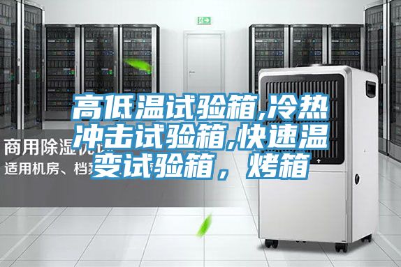 高低溫試驗箱,冷熱沖擊試驗箱,快速溫變試驗箱，烤箱